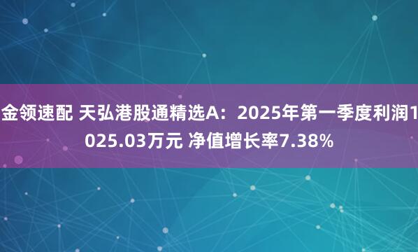 金领速配 天弘港股通精选A：2025年第一季度利润1025.03万元 净值增长率7.38%