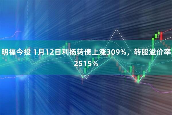 明福今投 1月12日利扬转债上涨309%，转股溢价率2515%
